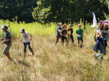 Zajęcia edukacyjne na łące - czyli zapoznajemy się z zapylaczami w ramach Wielkiego Dnia Pszczół, 